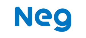 Nippon Electric Glass
