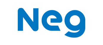 Nippon Electric Glass